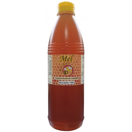Mel Puro - Várias Floradas - Embalagem 1 Litro