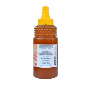 Mel Composto com Geleia Real - Várias Floradas - Embalagem 500g