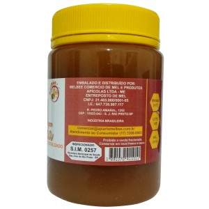 Mel Cru - Cristalizado - 500 g