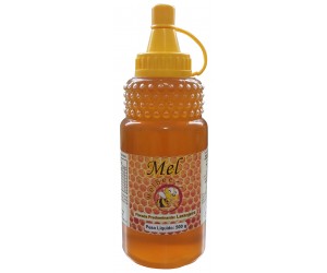Mel Puro - Várias Floradas - Embalagem 500 g