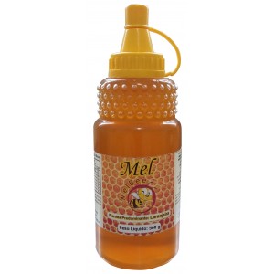 Mel Puro - Várias Floradas - Embalagem 500 g